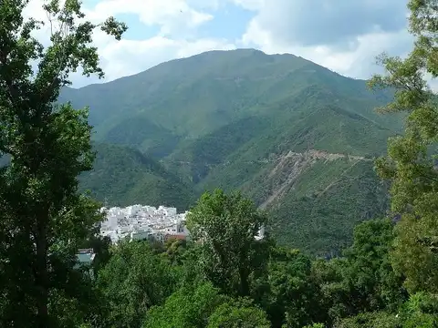 Rutas Cortas En Istán Con Vistas Panorámicas Que No Te Puedes Perder ruta de los bancos gigantes