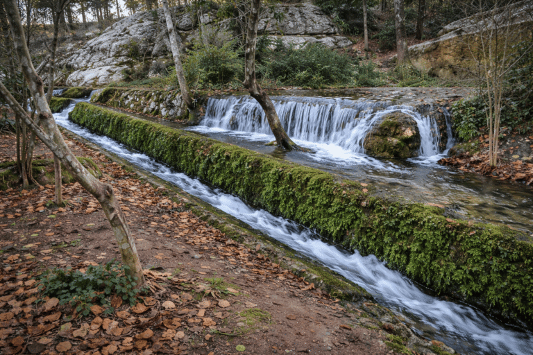 Qué hacer en Cuevas del Becerro: ruta rural y banco gigante